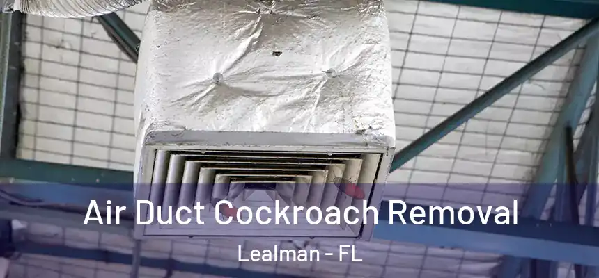 Air Duct Cockroach Removal Lealman - FL