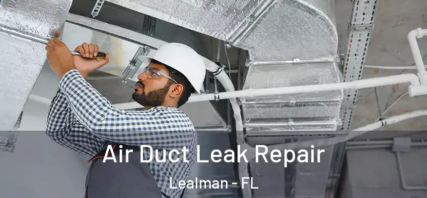  Air Duct Leak Repair Lealman - FL