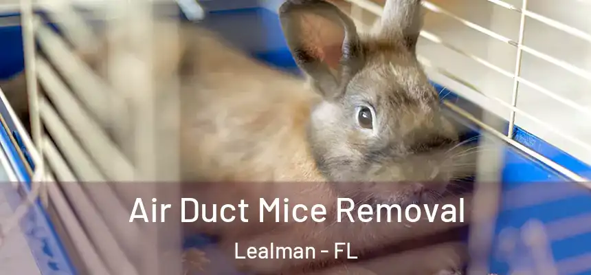 Air Duct Mice Removal Lealman - FL