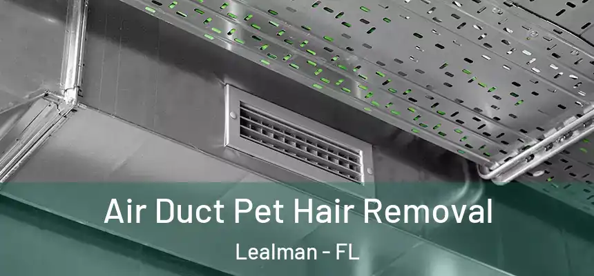  Air Duct Pet Hair Removal Lealman - FL