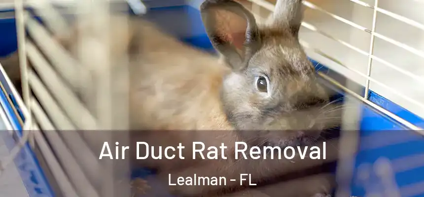 Air Duct Rat Removal Lealman - FL