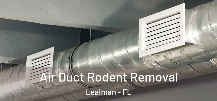 Air Duct Rodent Removal Lealman - FL