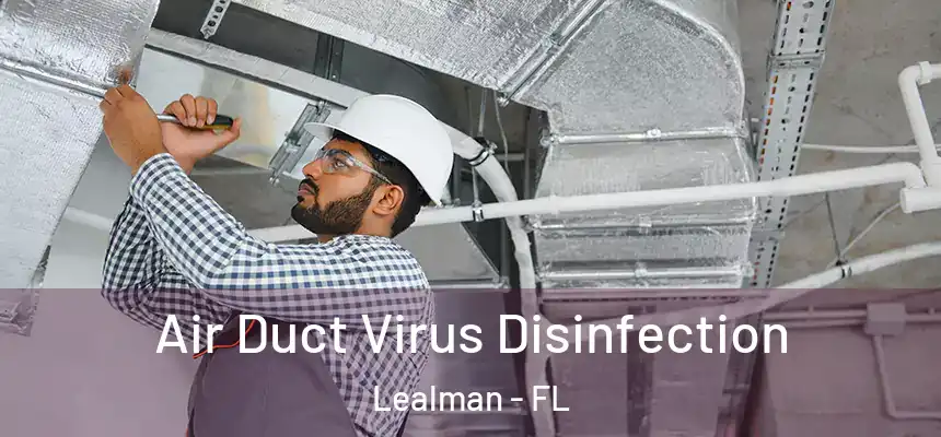 Air Duct Virus Disinfection Lealman - FL