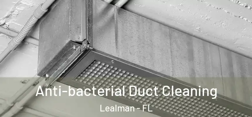 Anti-bacterial Duct Cleaning Lealman - FL