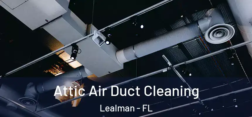 Attic Air Duct Cleaning Lealman - FL
