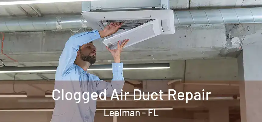  Clogged Air Duct Repair Lealman - FL