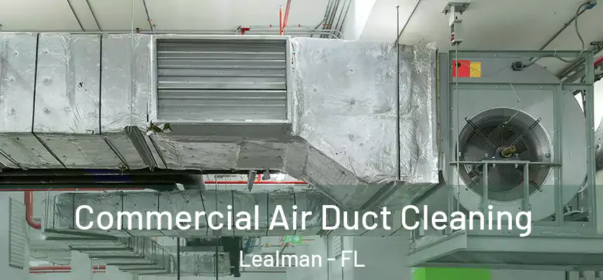 Commercial Air Duct Cleaning Lealman - FL