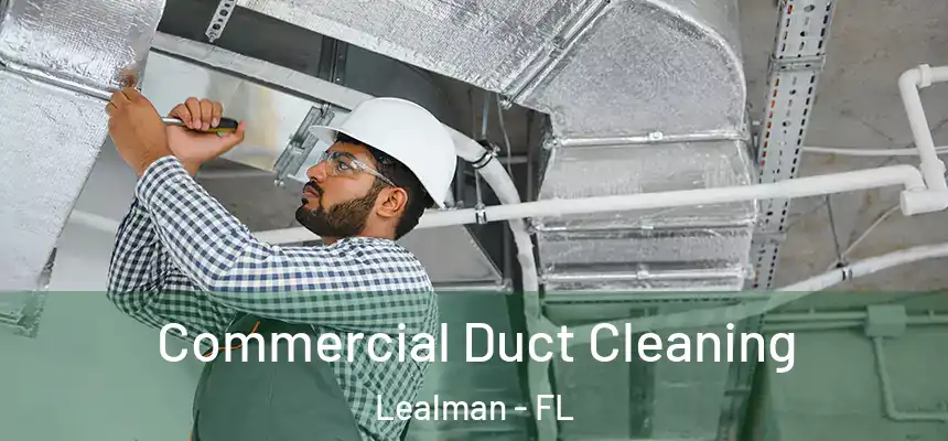  Commercial Duct Cleaning Lealman - FL