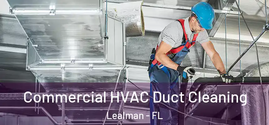  Commercial HVAC Duct Cleaning Lealman - FL