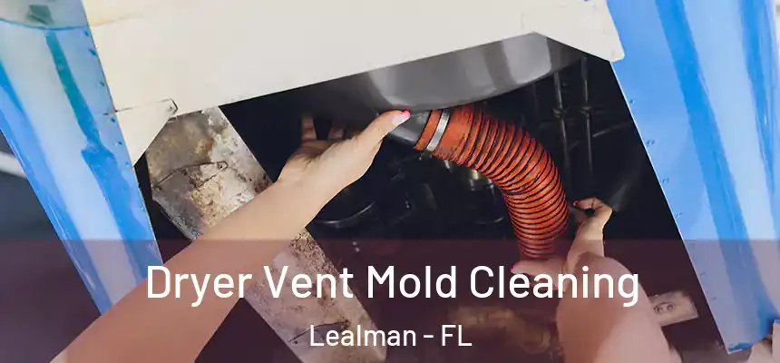 Dryer Vent Mold Cleaning Lealman - FL