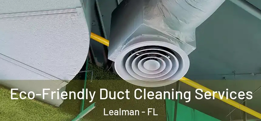  Eco-Friendly Duct Cleaning Services Lealman - FL