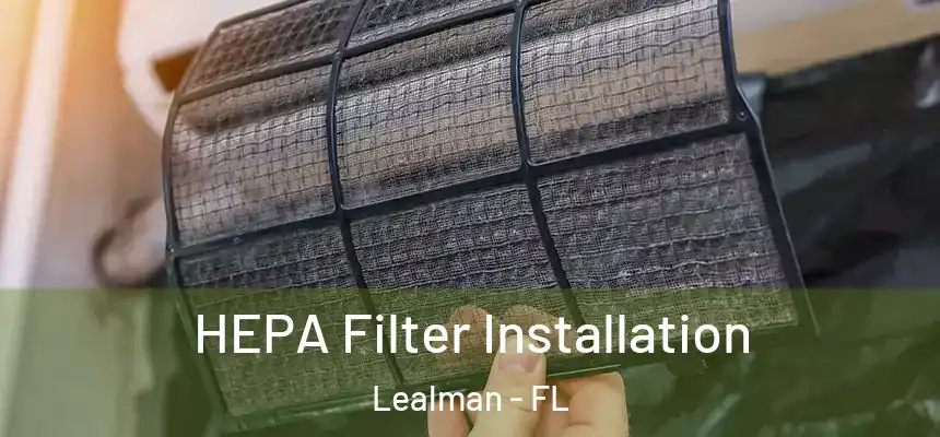 HEPA Filter Installation Lealman - FL