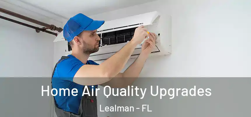 Home Air Quality Upgrades Lealman - FL