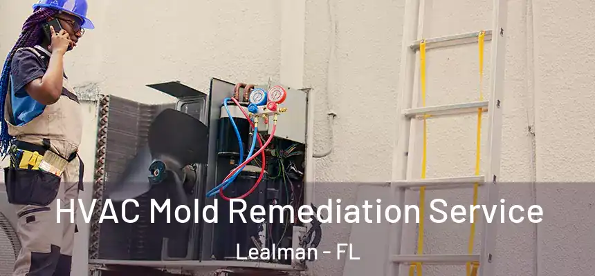 HVAC Mold Remediation Service Lealman - FL