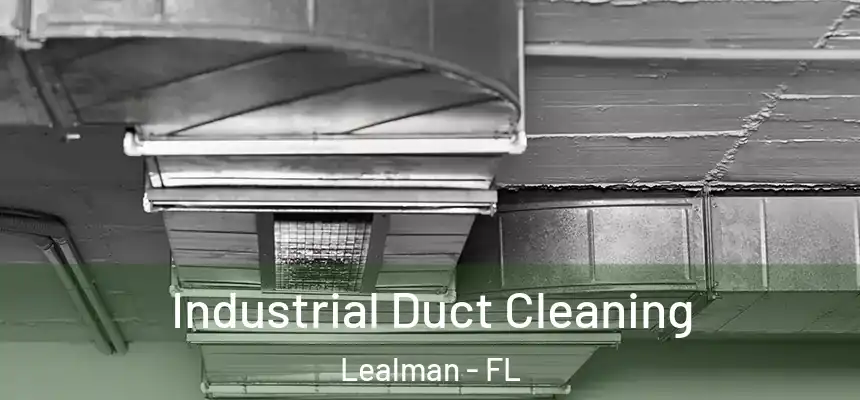  Industrial Duct Cleaning Lealman - FL