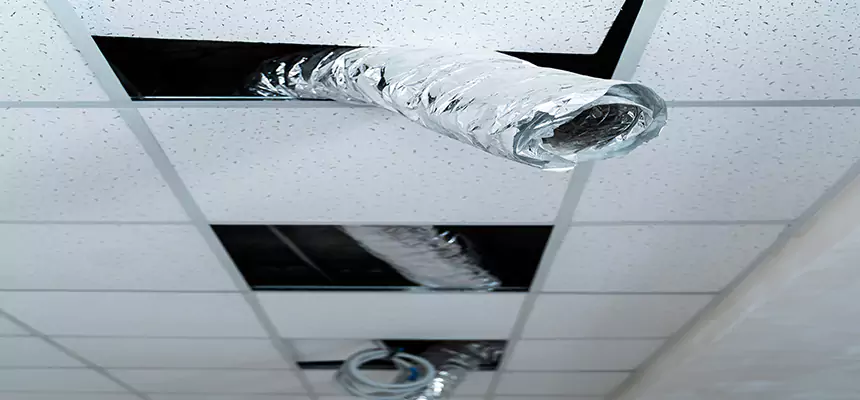 Our Air Duct Pet Hair Removal Services in Lealman, FL