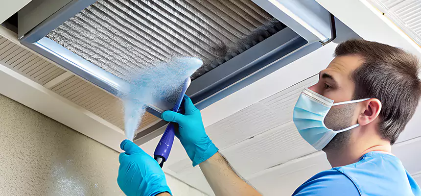 Proactive Dryer Vent & Auxiliary Duct Pollen Cleanup in Lealman, FL
