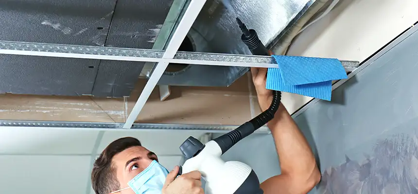Our Air Duct Rodent Removal Services in Lealman, FL