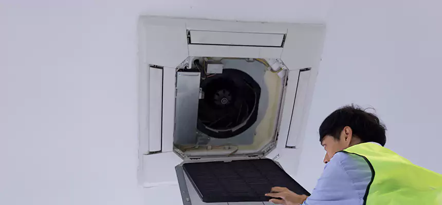 Our Dryer Vent Sanitization Service Services in Lealman, FL