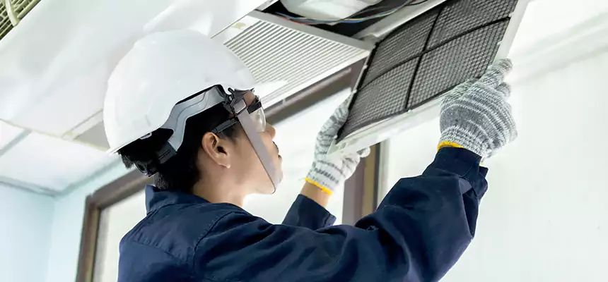 Our Mold & Mildew Removal from Air Ducts Services in Lealman, FL