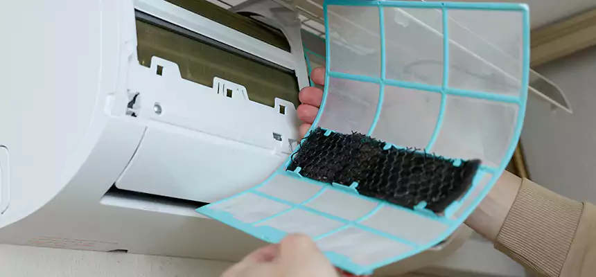 Gentle Ductwork Odor-Control Pet Dander Duct Cleaning in Lealman, FL