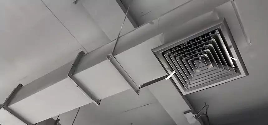 Our Rodent Droppings In Vents Services in Lealman, FL