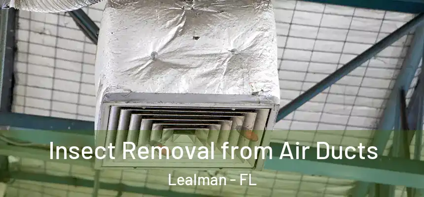 Insect Removal from Air Ducts Lealman - FL