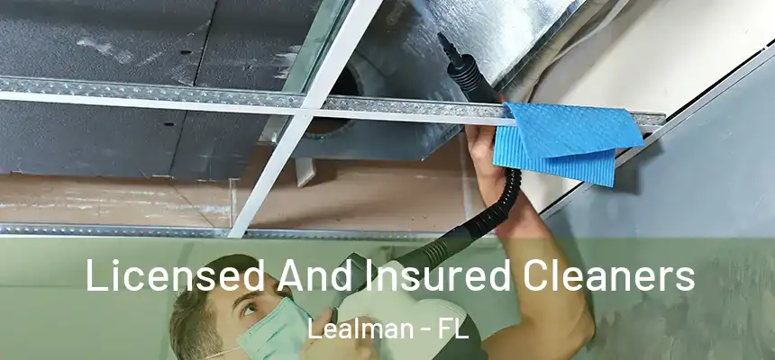  Licensed And Insured Cleaners Lealman - FL