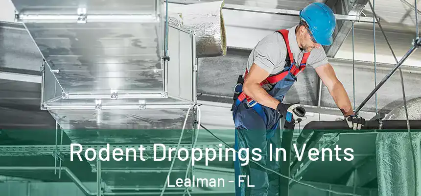 Rodent Droppings In Vents Lealman - FL