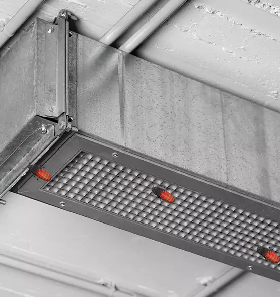 About Air Duct Cockroach Removal in Lealman, FL