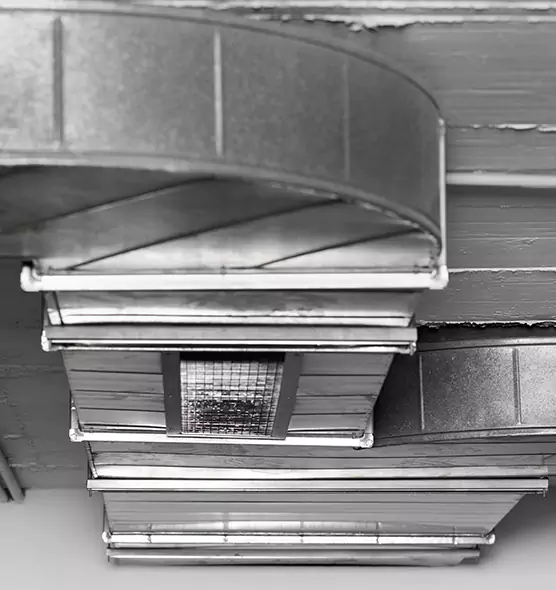 Professional Air Duct Pet Hair Removal in Lealman, FL