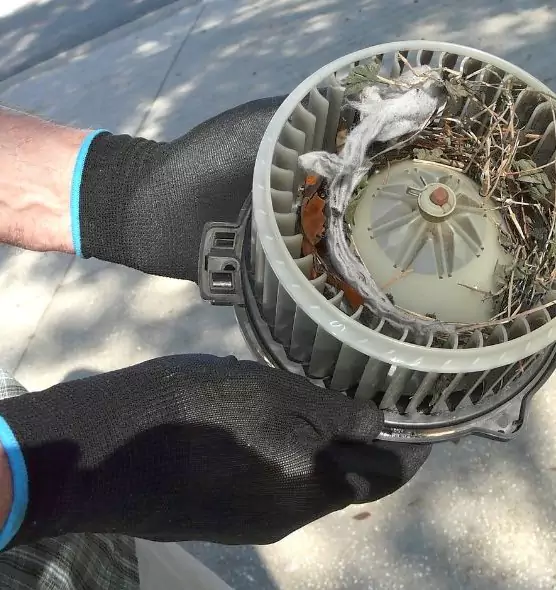 About Air Duct Rat Removal in Lealman, FL