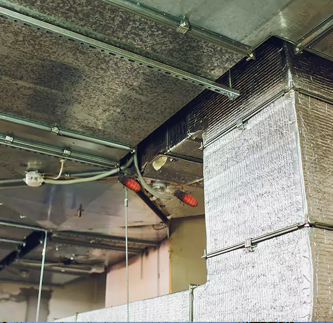 Why Homeowners & Businesses Trust Us in Lealman, FL?