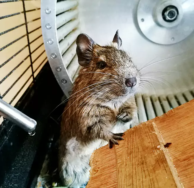 Why Homeowners & Businesses Trust Us Lealman, FL