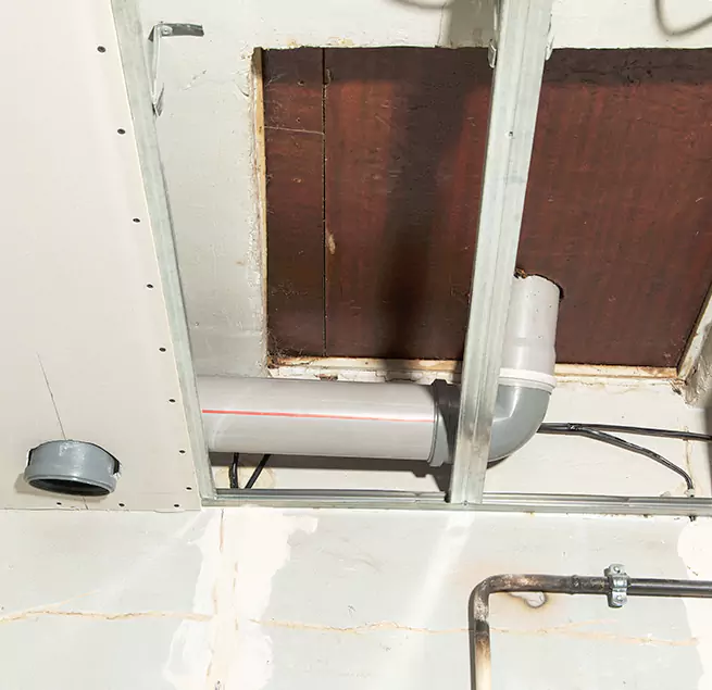 Why Homeowners & Businesses Trust Us in Lealman, FL?