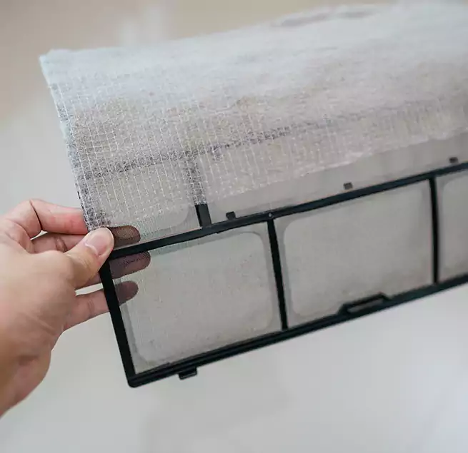 Why Homeowners & Businesses Trust Us in Lealman, FL?