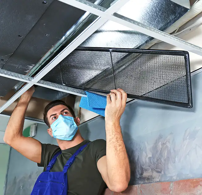 Why Homeowners & Businesses Trust Us in Lealman, FL?