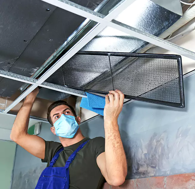 Why Homeowners Businesses Trust Us in Lealman, FL?