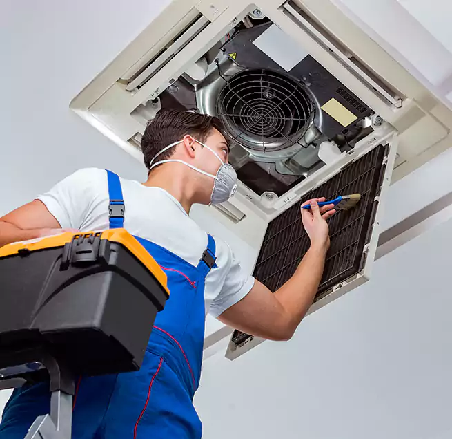 Why Homeowners & Businesses Trust Us in Lealman, FL?