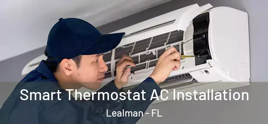 Smart Thermostat AC Installation Lealman - FL