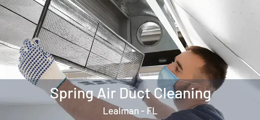 Spring Air Duct Cleaning Lealman - FL