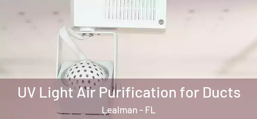 UV Light Air Purification for Ducts Lealman - FL