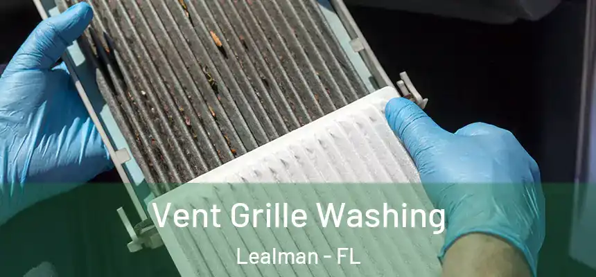 Vent Grille Washing Lealman - FL