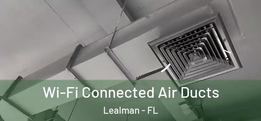 Wi-Fi Connected Air Ducts Lealman - FL